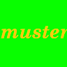 muster E