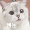 Leo Li