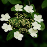 Dat Phan Quoc