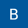 Borgman Bermudez