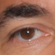 Ray Goudie