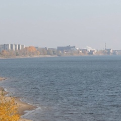 Дарья Степашина