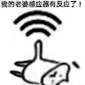 张海龙