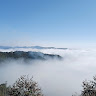 杨小杨