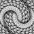 loop